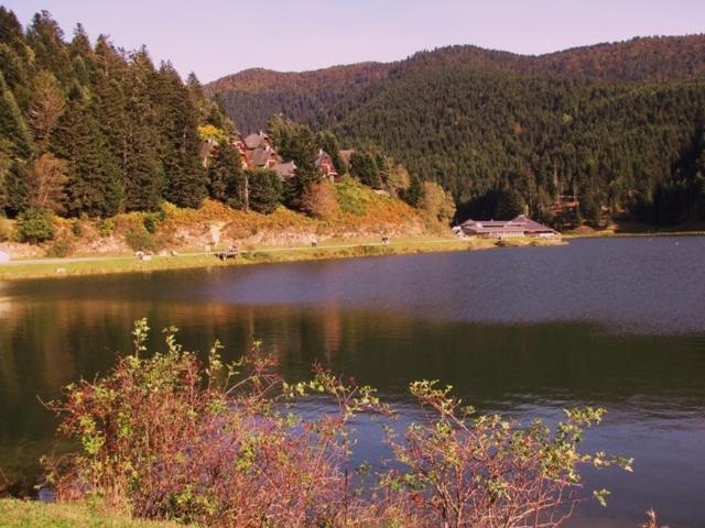 Gite Du Montagnol A Payolle Sainte-Marie-de-Campan Luaran gambar
